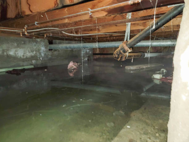  Mcarthur, OH Water damage restoration Pros