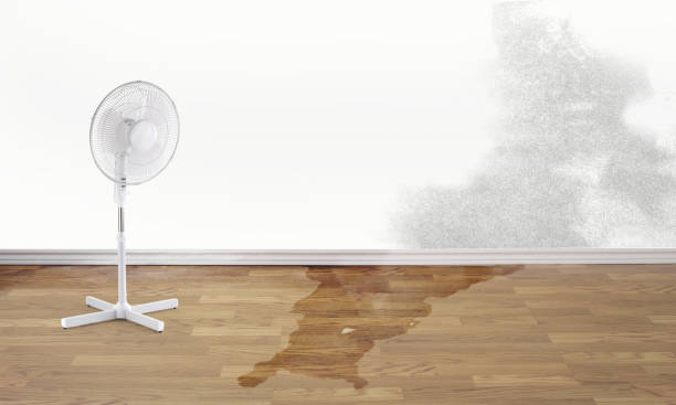 Best Fire Damage Restoration  in Mcarthur, OH