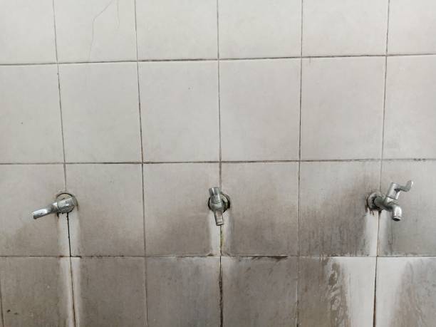 Best Basement water damage restoration  in Mcarthur, OH