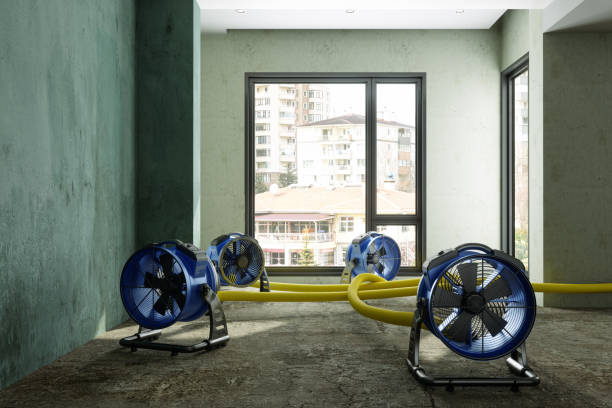 Best Flood restoration services  in Mcarthur, OH